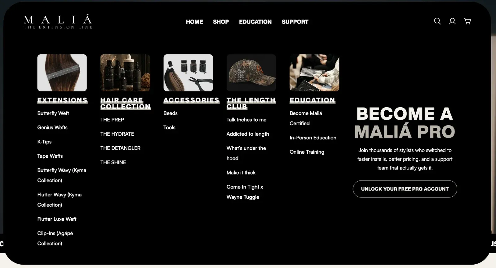 The custom mega menu, open