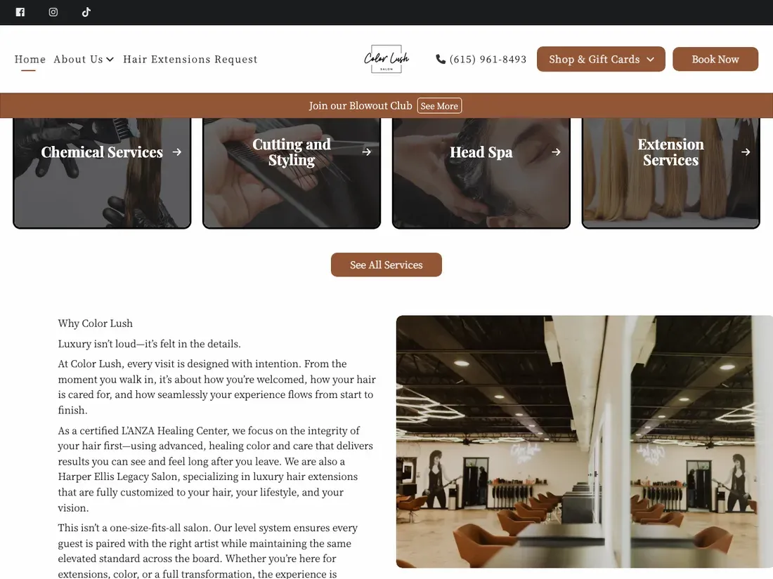 The old Color Lush homepage: a cream template with a pop-up and stock photos