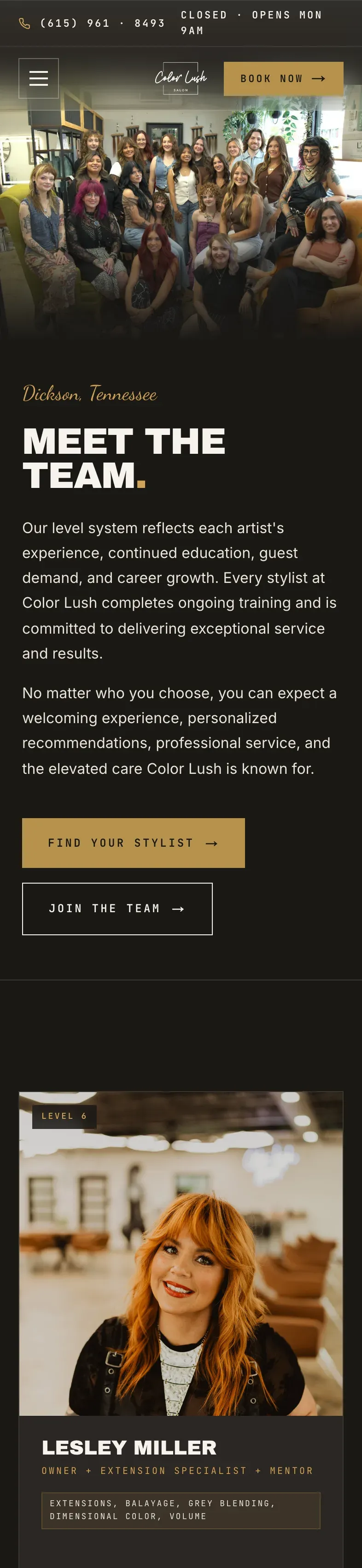 The team page on a phone